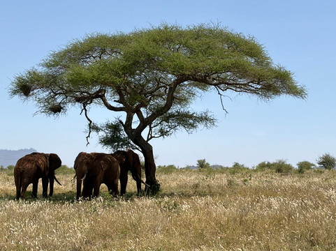 Northern Wild Hunters-班布里必去景点