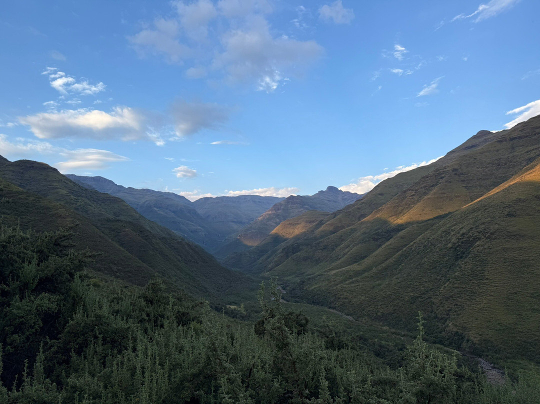 马利巴河山林小屋主图