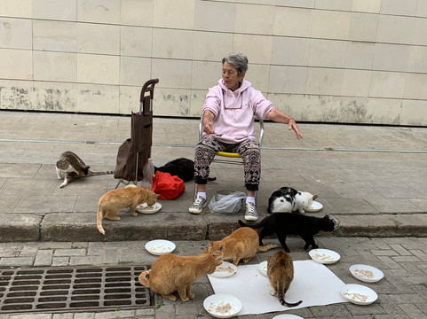 Cuban Classic Car Tours by Eddy