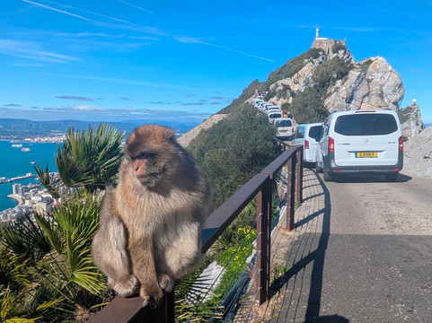 Gibraltar Cable Car-直布罗陀必去景点
