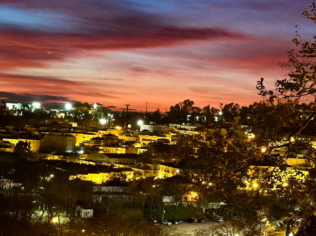 洛斯奥利弗斯酒店主图