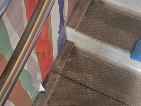 Theme Park Plaswijckpark-鹿特丹必去景点