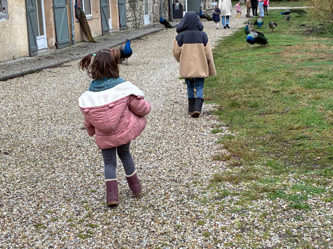 Alice au pays des Paons-阿维桑必去景点