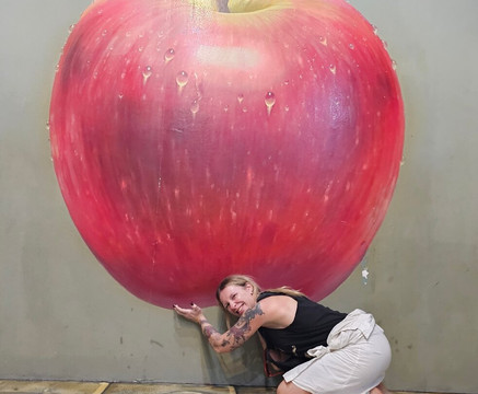 天堂艺术馆-兰卡威必去景点