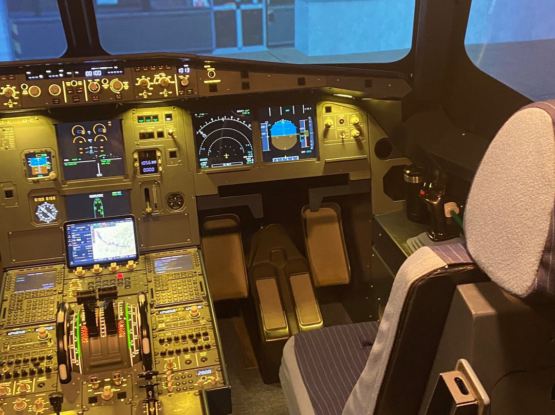 The Flight Experience-纽卡斯尔必去景点