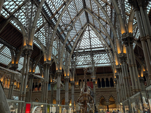 牛津大学自然历史博物馆-牛津必去景点