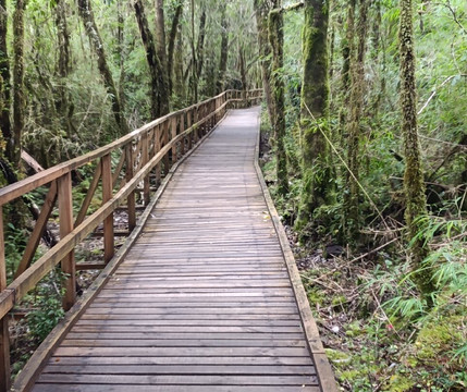 Ventisquero Yelcho-Chaiten必去景点