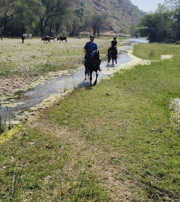 Krishna Ranch-乌代布尔必去景点