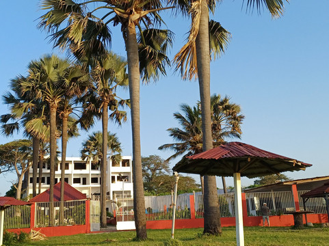 Swiss Boutique Hotel主图