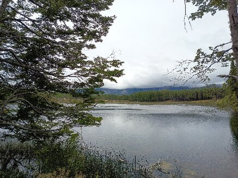 Coyhaique National Reserve-Coyhaique必去景点