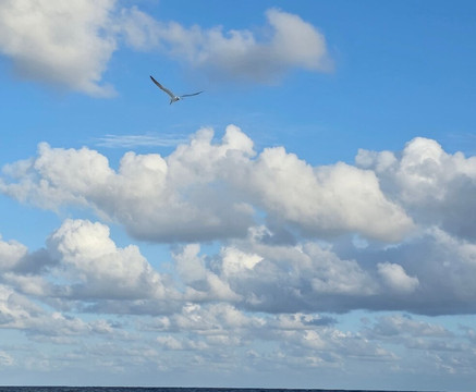 Playa Chen Rio-考祖梅必去景点