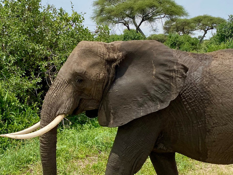 Latitude Explorers-Fontenay-les-Briis必去景点