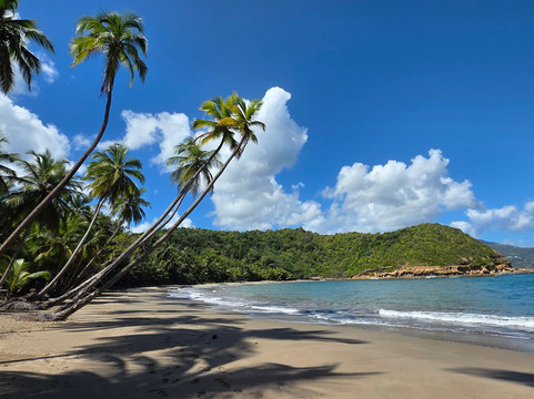 Just Go Dominica-多米尼克必去景点