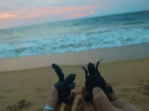 Sigiritrip Tours-锡吉里亚必去景点