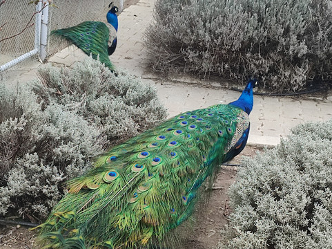 Basaranlar Thermal Spa-Afyonkarahisar必去景点