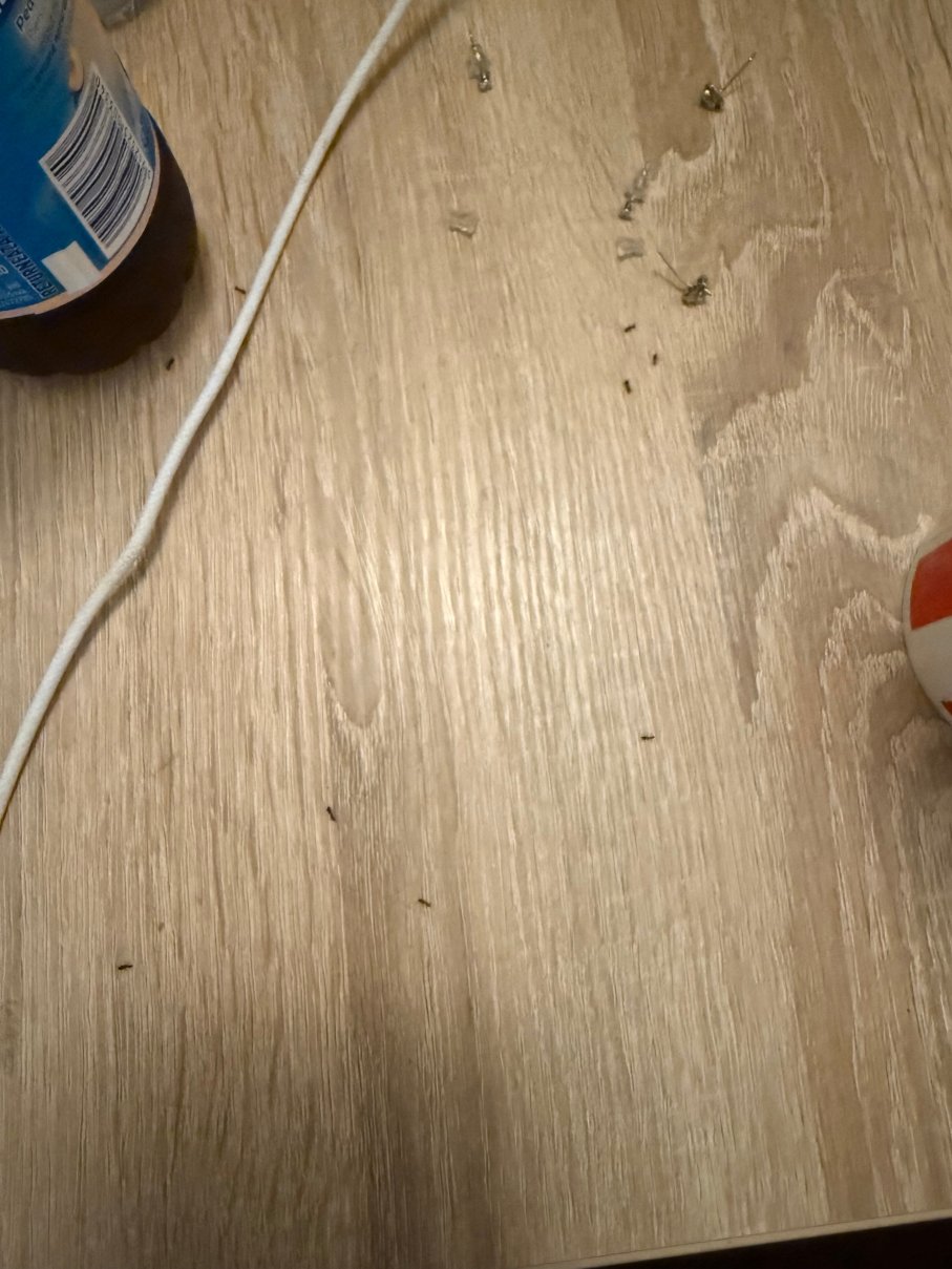 La Rocca Boutique Hotel-官方