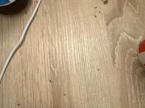 La Rocca Boutique Hotel主图