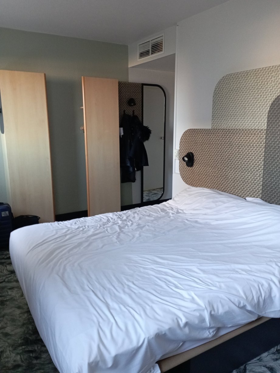 凡尔赛宫勒谢奈 B&B 酒店-客卧