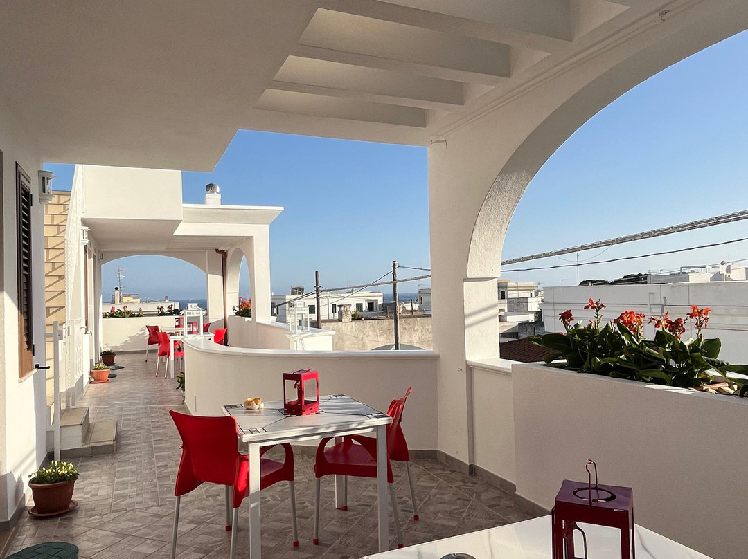 B&B MareIncantato主图