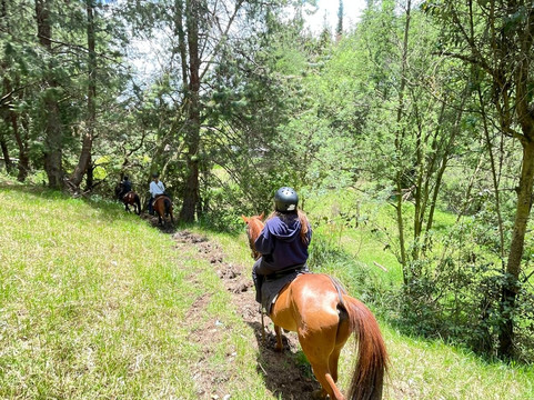 Centro Ecuestre Bellavista-昆卡必去景点