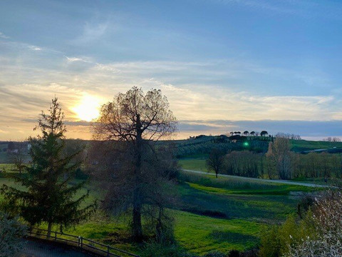 亚历山德拉酒店主图