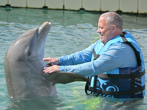 Dolphin Discovery Grand Cayman-西湾必去景点