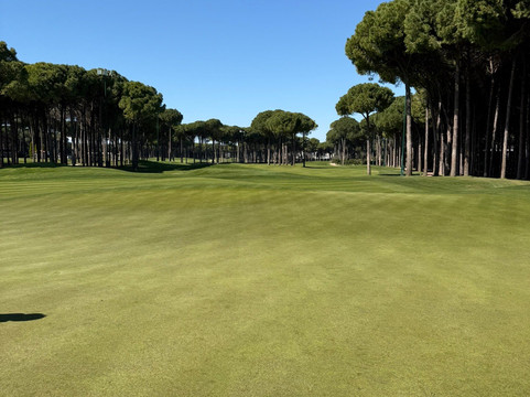 Carya Golf Club-贝莱克必去景点