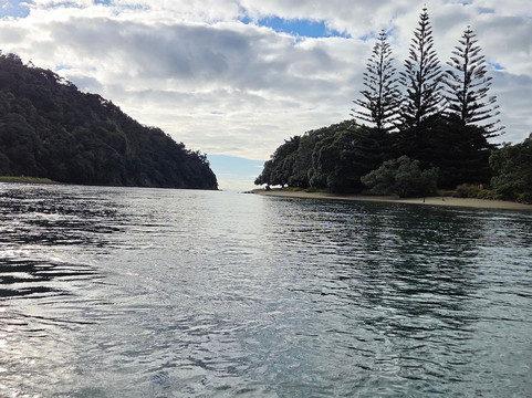 Puhoi River Kayak Hire Ltd Kayak Trips-奥克兰必去景点