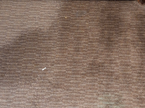 伍斯特 (M5,Jct6)普瑞米尔酒店主图