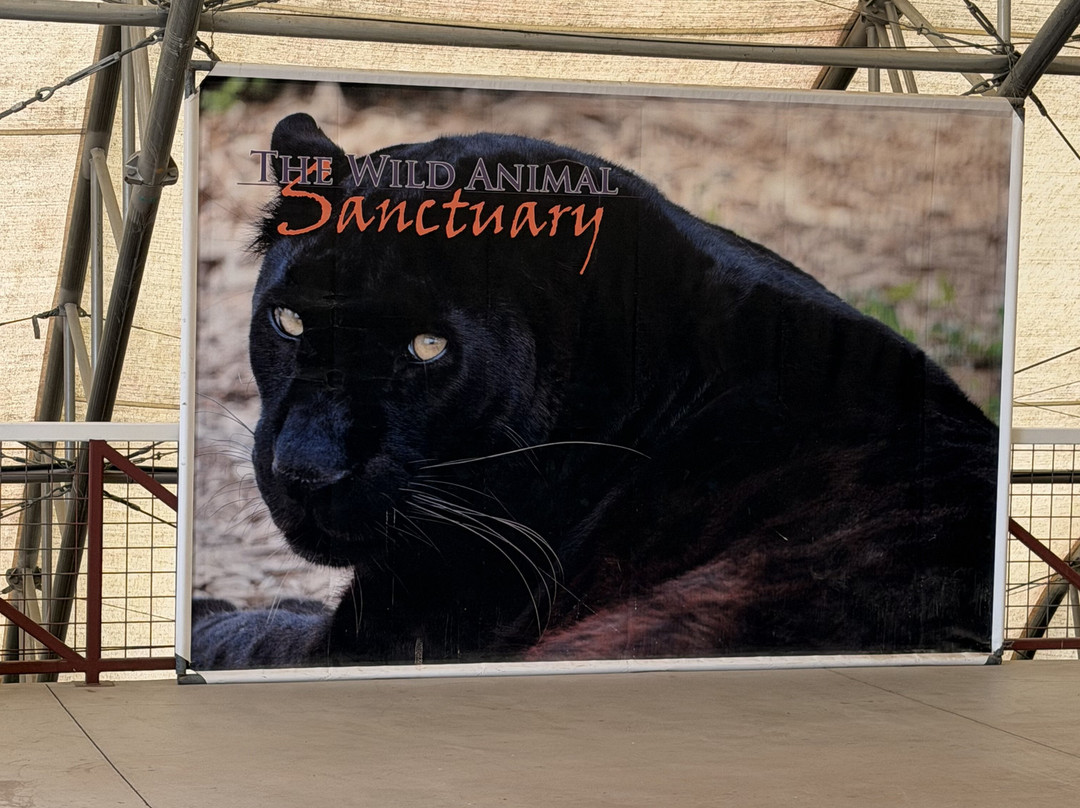 Wild Animal Sanctuary-Keenesburg必去景点