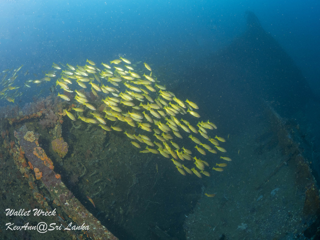 Scuba Addicts-拉非尼亚山必去景点