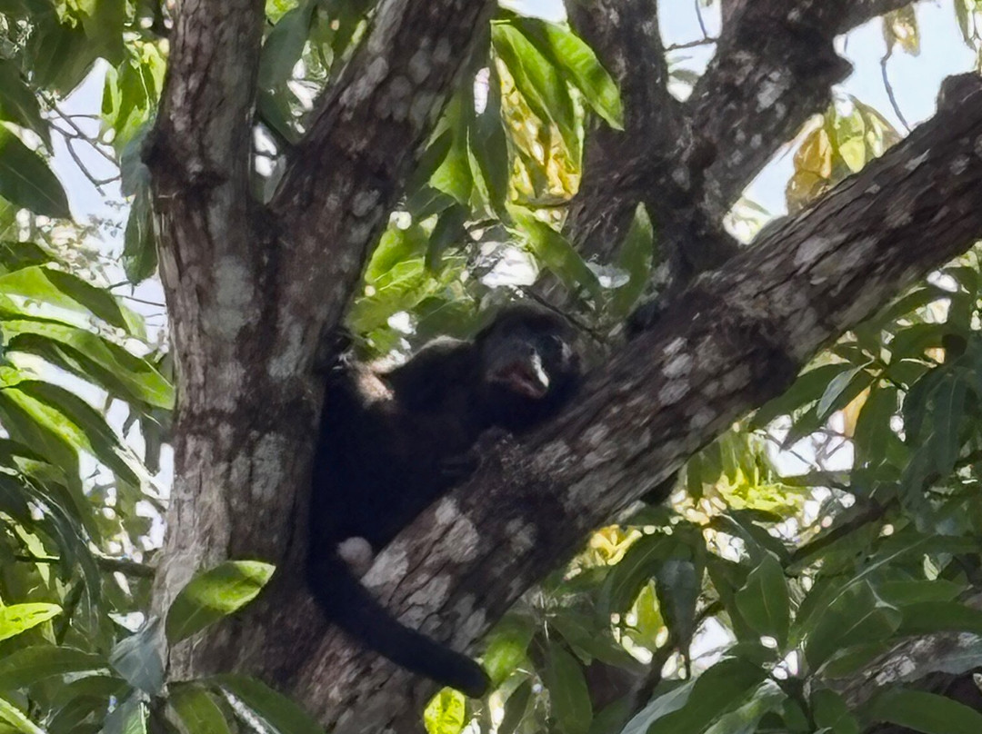 Costa Rica Experts-圣何塞必去景点