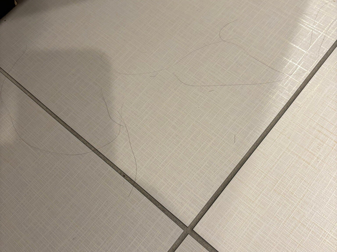 雅基马机场希尔顿惠庭酒店主图