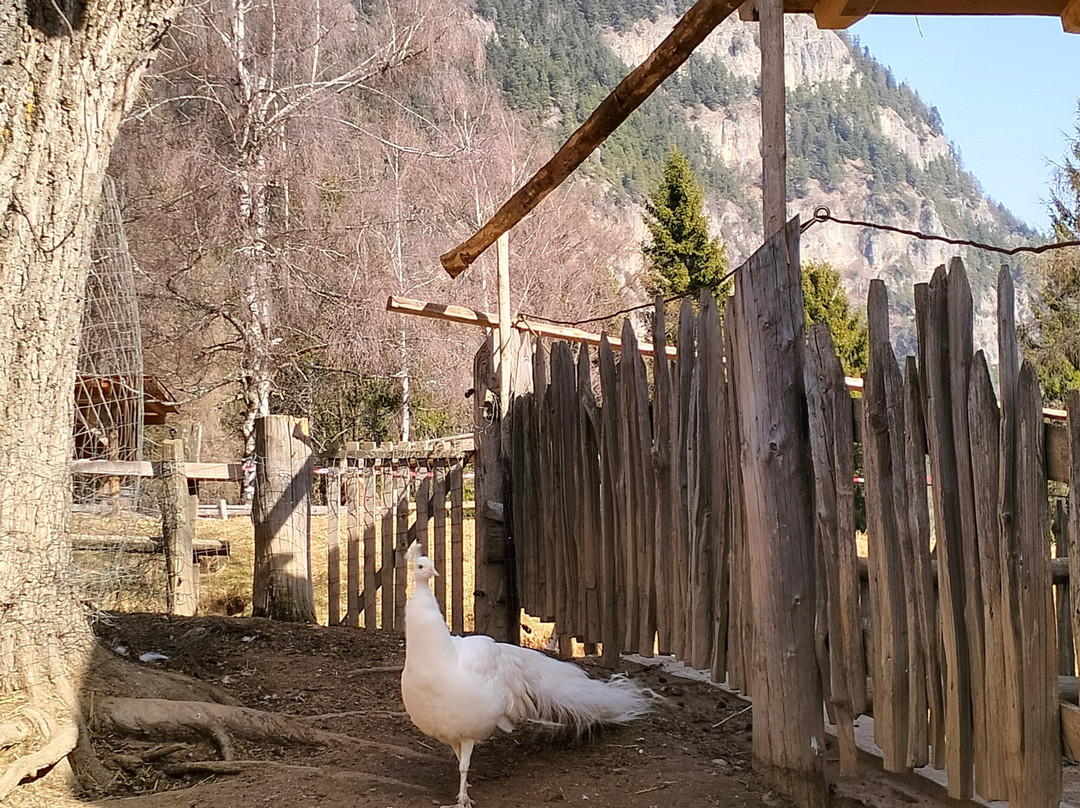 Fattoria Rainguthof-Tesimo必去景点