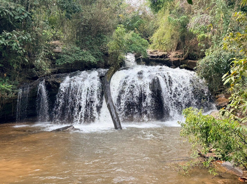 Chiangmai Elephant Sanctuary-清迈必去景点