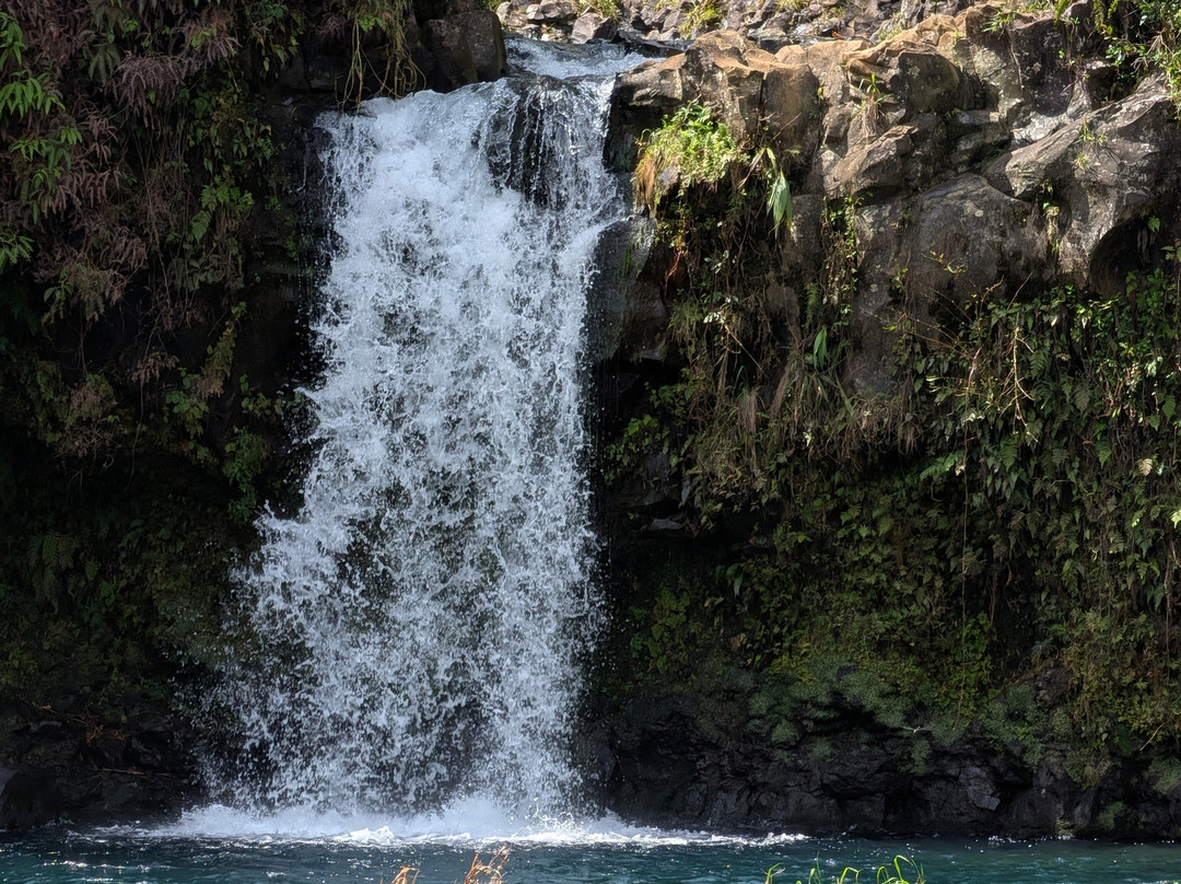 Adventure Maui Road to Hana Tour-哈纳必去景点