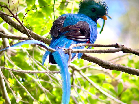 Jason Lara Tours-波魁特必去景点