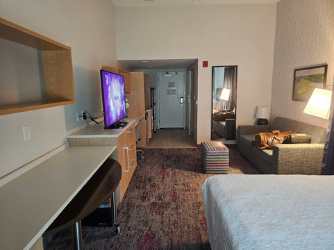 格罗夫敦奥古斯塔地区希尔顿惠庭酒店主图