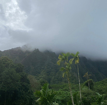 火玛卢霞植物园-卡内奥赫必去景点