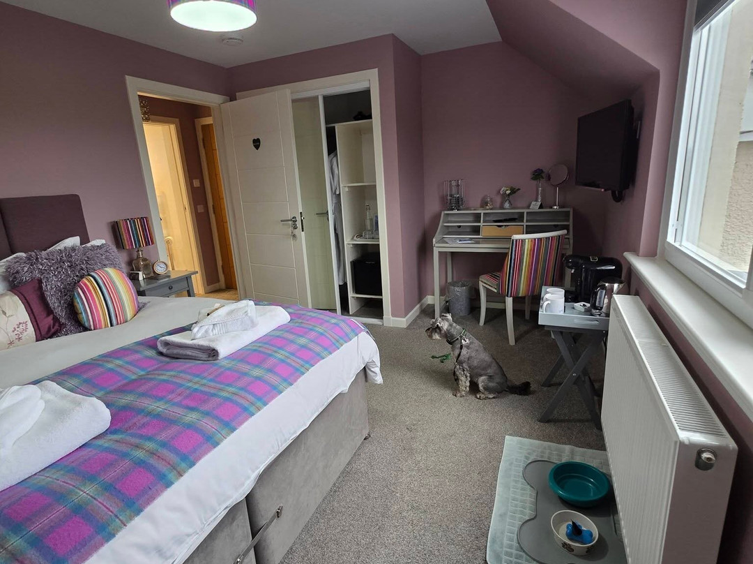 Heartseed House B&B主图