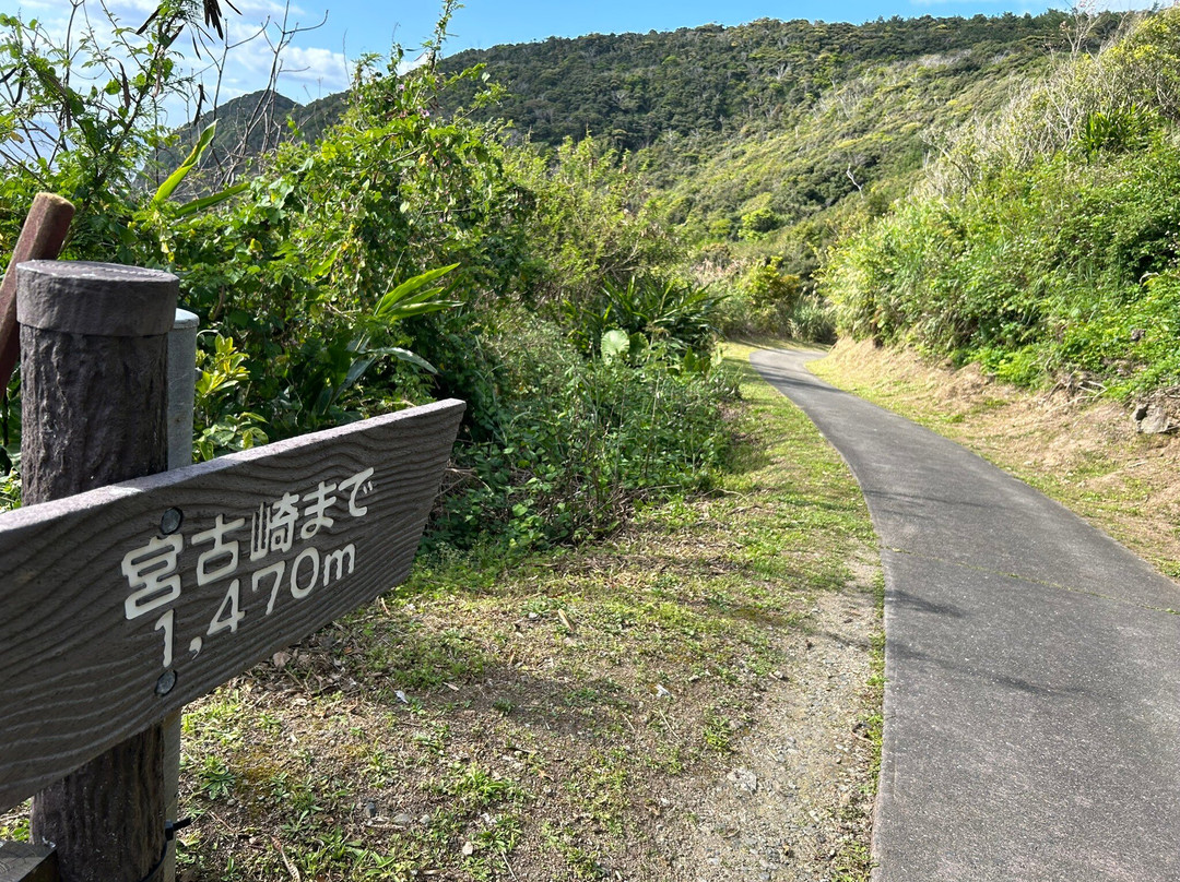 Miyakozaki-大和村必去景点