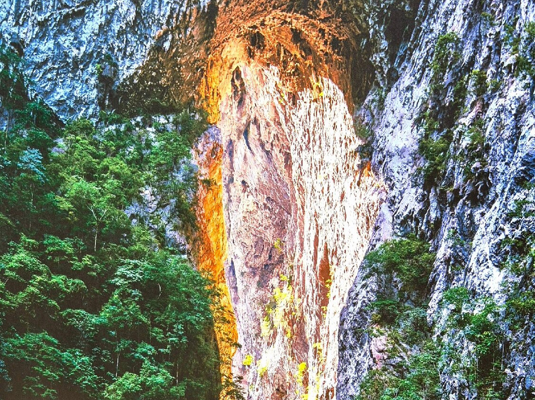 大七孔-荔波县必去景点