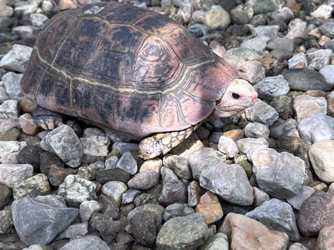 Phuket Cheap Tour-普吉岛必去景点