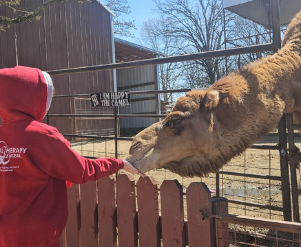 Hochatown Petting Zoo-Broken Bow必去景点