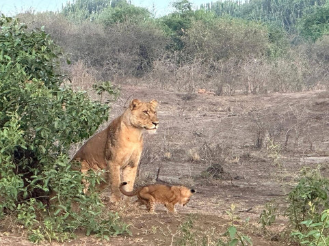 Trevor Tour Safaris Africa-坎帕拉必去景点