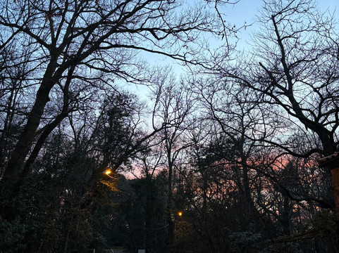 Parque do Fontelo-维塞乌必去景点