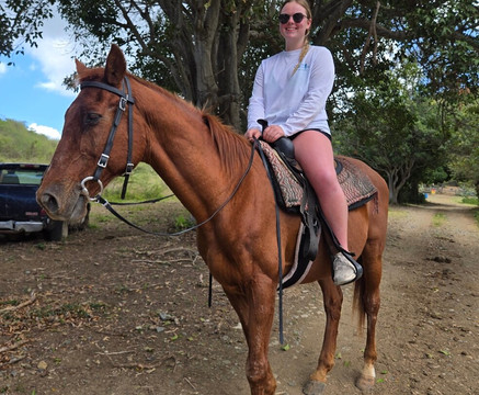 Equus Rides Horseback Riding St. Croix-Frederiksted必去景点