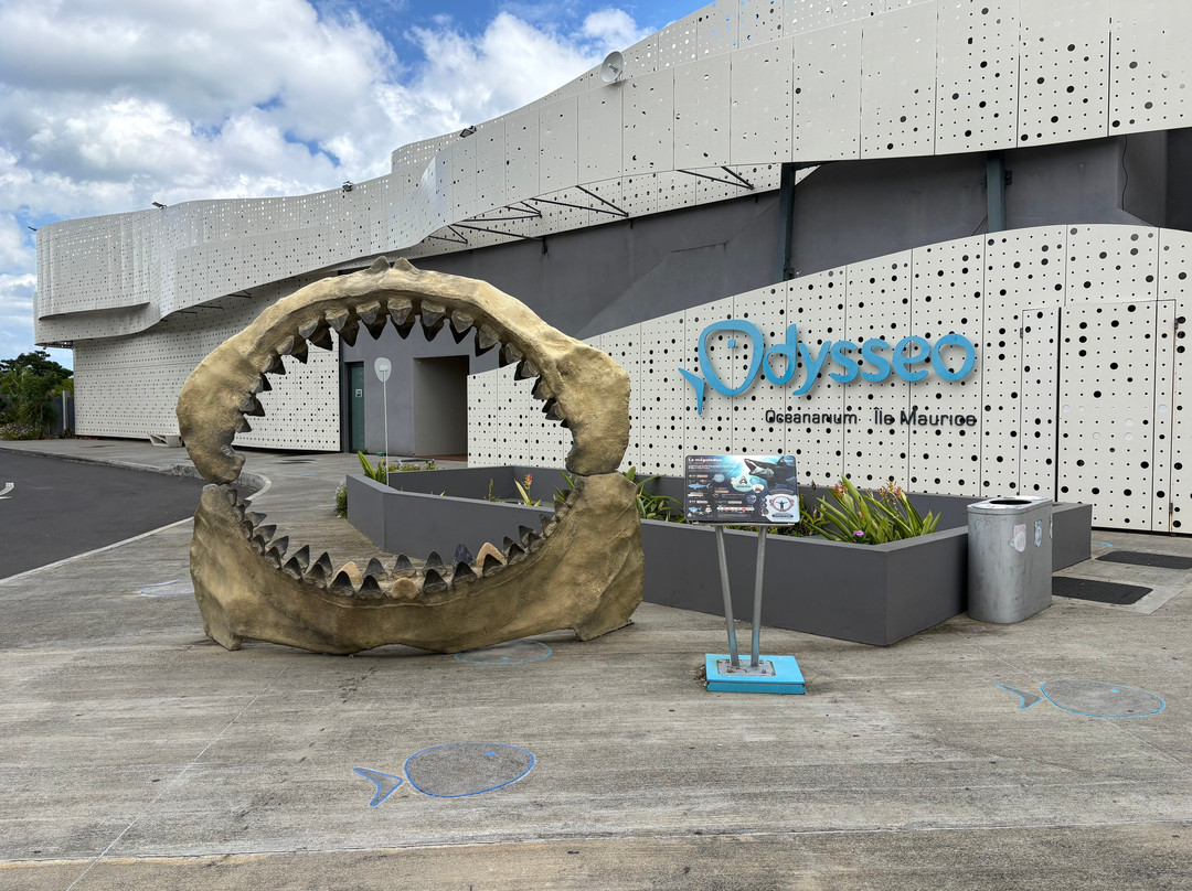 Odysseo Oceanarium Mauritius-路易士港必去景点
