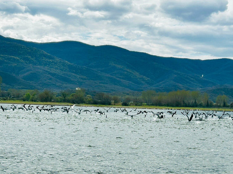 Kerkini Lake-Kerkini必去景点