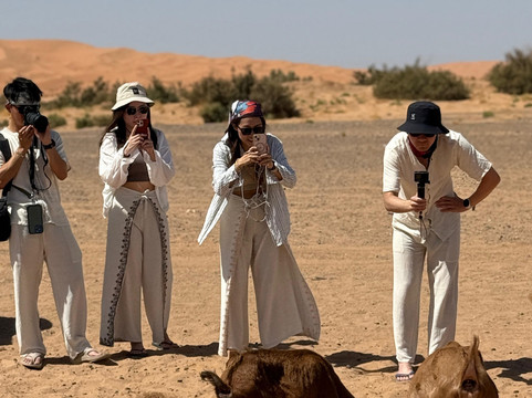 sahara tours-伊拉悉迪亚必去景点